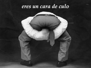 insulto